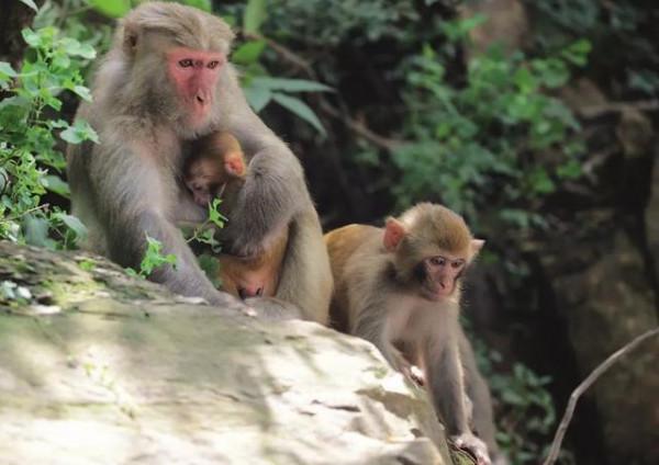 中國神話中的十大美景 中國神話中的十大美景