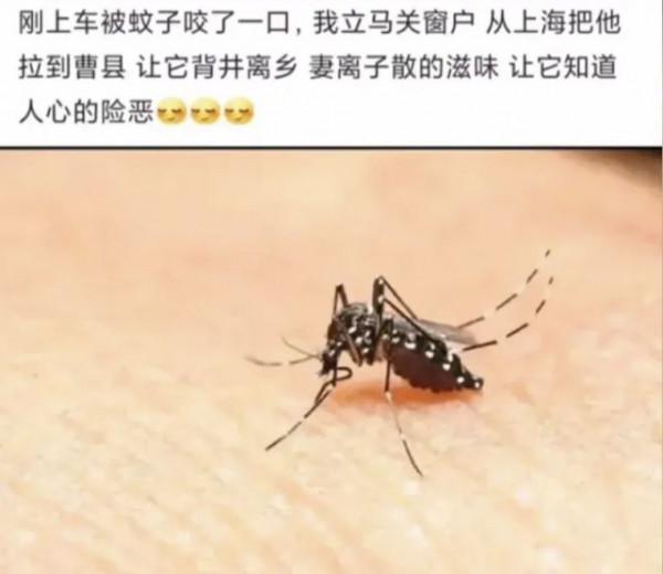 小象偷甘蔗被抓,試圖躲在電線杆後面,好萌 小象偷甘蔗被抓,試圖躲在電線杆後面,好萌