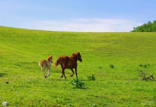 31天法定假日該咋花？