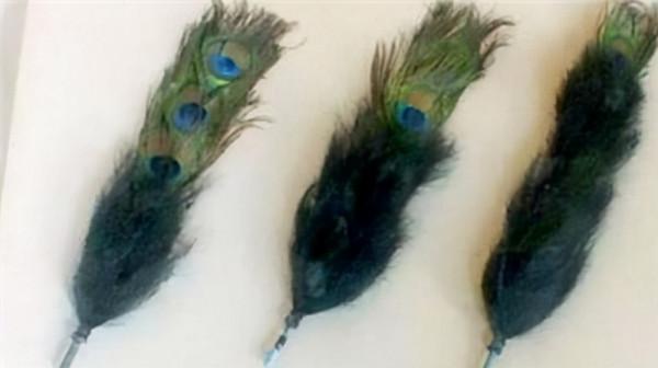 清朝三眼花翎有多珍貴？200多年來僅8人擁有，連和珅都沒資格