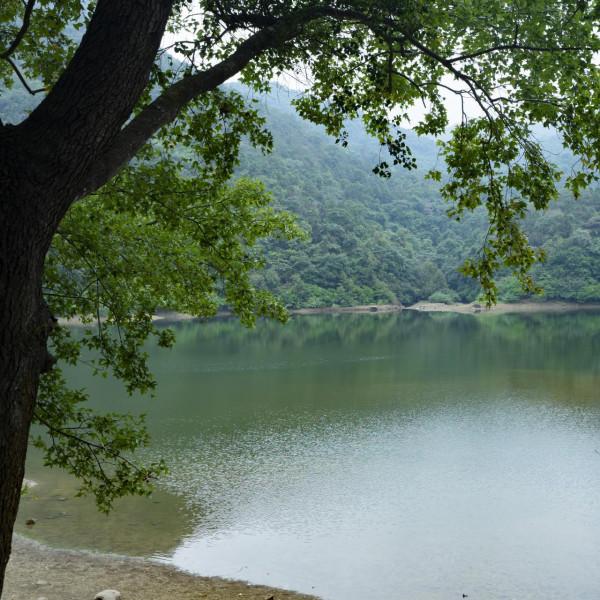 陰天過路石門森林公園