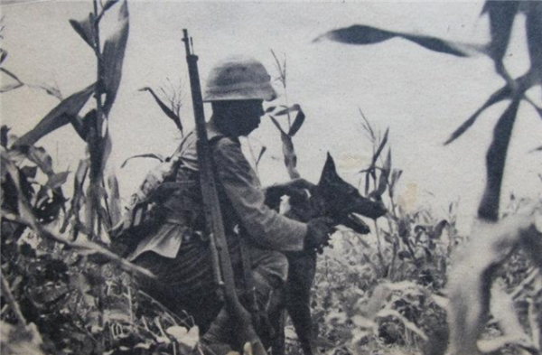 鶴丸光吉槍決全過程：行刑槍支換成衝鋒槍，死前高喊“天皇萬歲”