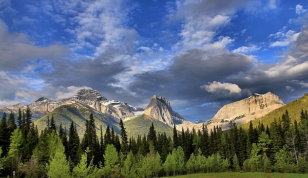 執行力強，能力超群的星座，他們有本事，但是更有骨氣，不屈不撓