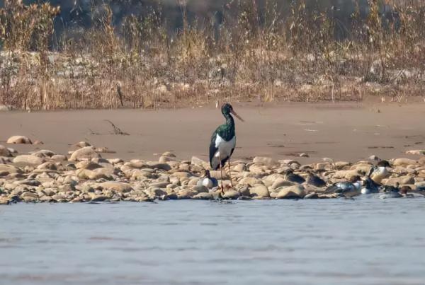 202“憶”② | 這些不期而遇，有靈且美！