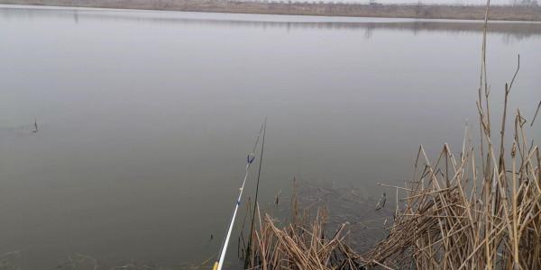 冬季釣魚，選點最重要，其次是拋竿技術，兼談調漂