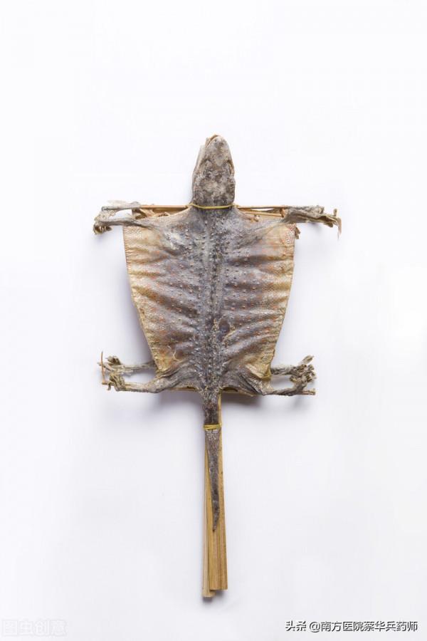 一位中藥師的課堂筆記：治咳嗽方子大全（補充篇）較多，建議收藏