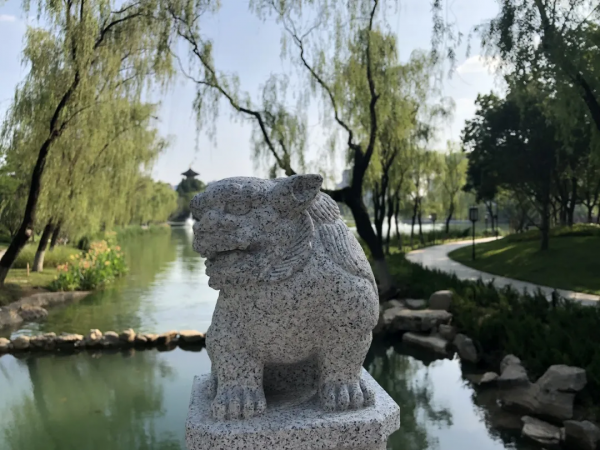 唐皇宮裡的“大喵”，大有來頭