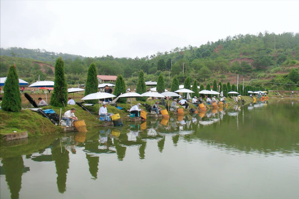 死水魚塘如何養魚賺錢？垂釣最賺錢，汙水也一樣能養魚