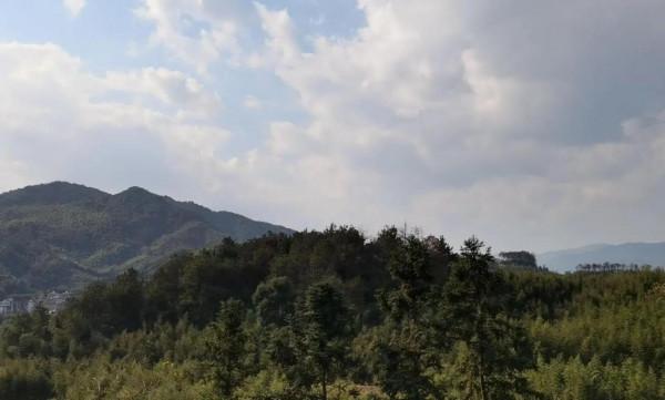 「散文」逛見裡山的春光