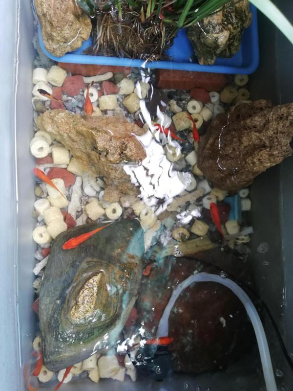 懂得幫我看看還缺啥？