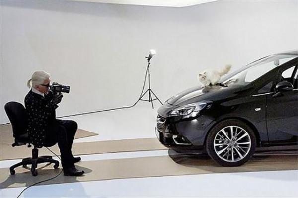 “老佛爺”卡爾·拉格斐：死前把21億遺產留給寵物貓，如今怎樣了