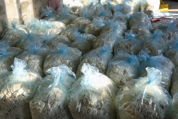 農村大叔百畝地引種肉葫蘆，削皮曬乾出口海外，純利潤是玉米10倍