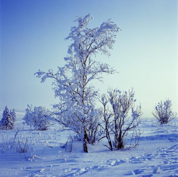 雪景，大自然界的鬼斧神工，是你喜歡的嗎？