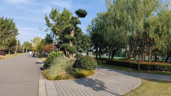 小米的魔法消除功能