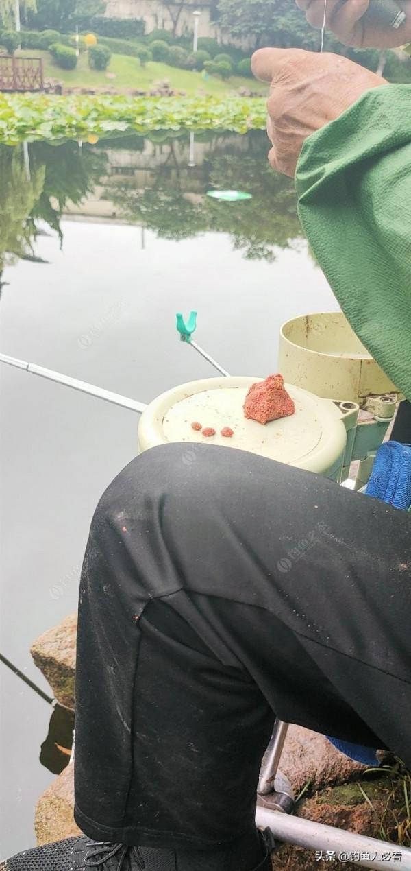 向高齡釣友請教的“搖三搖”釣法，毫無保留的分享給大家