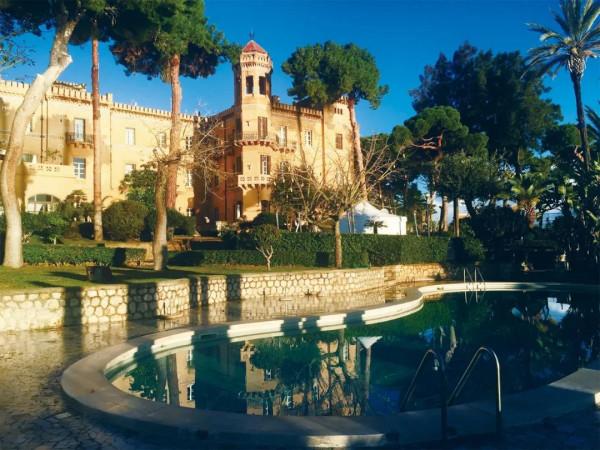 海盜後裔為了彩禮來到這裡，還免費送給他們一個國王