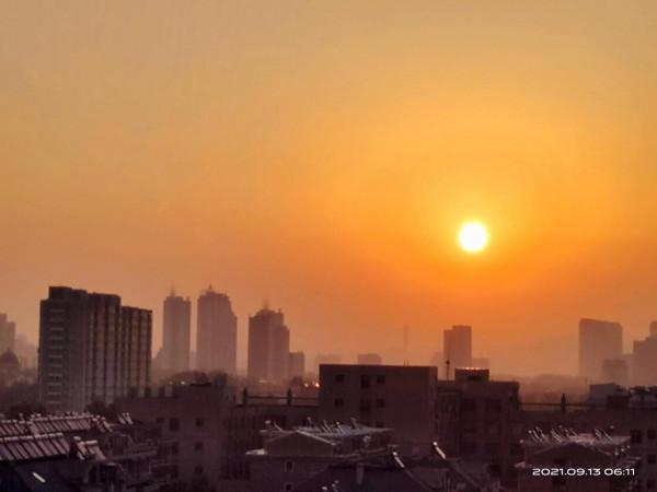 《貝多芬》讀書筆記之二:拔苗助長,只會造成難以癒合的創傷 《貝多芬》讀書筆記之二:拔苗助長,只會造成難以癒合的創傷