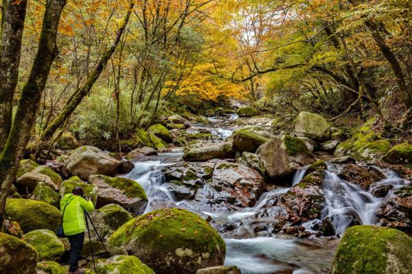 秘境南壩溝——四川光霧山 秘境南壩溝——四川光霧山