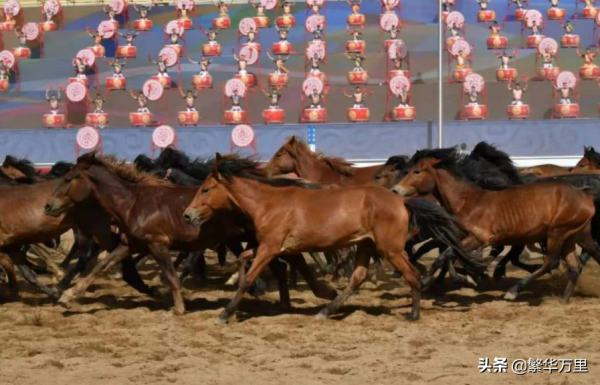 寧夏與內蒙古的區劃變動，寧夏的1個縣，為何劃入了內蒙古？