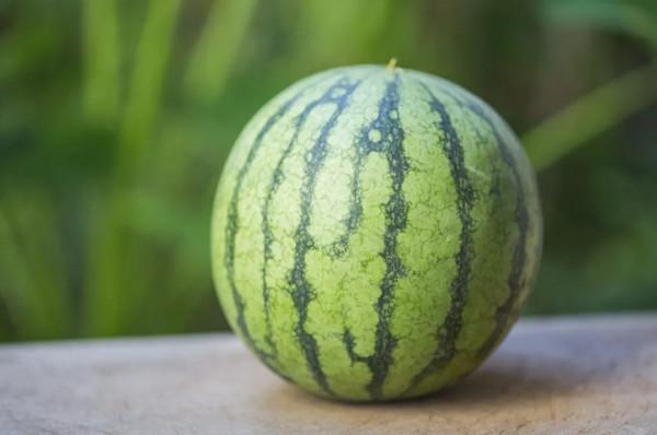 它被稱為“瓜中之王”，但有用的瓜皮卻被你扔了！西瓜皮這樣吃，養生又美味