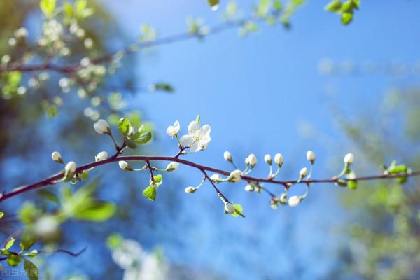 56歲阿姨坦言：退休了就安心過自己的日子，遠離那些覺得我傻的人