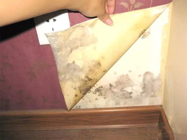 說了不聽，聽了不做，6個過時設計只會讓家土氣十足，費錢又積灰