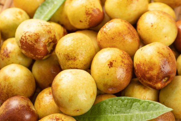 冬至後，冬藏進補，記得吃“三冬”，食“三黑”，補足營養過寒冬