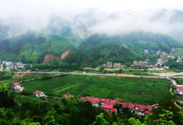 江西這款茶,有人說名字雖不算雅,但喝過一次就會愛上 江西這款茶,有人說名字雖不算雅,但喝過一次就會愛上