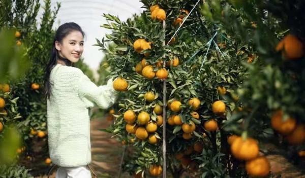 難怪黃聖依能嫁入豪門，穿紫色毛絨外套甜美又少女，看著最多20歲