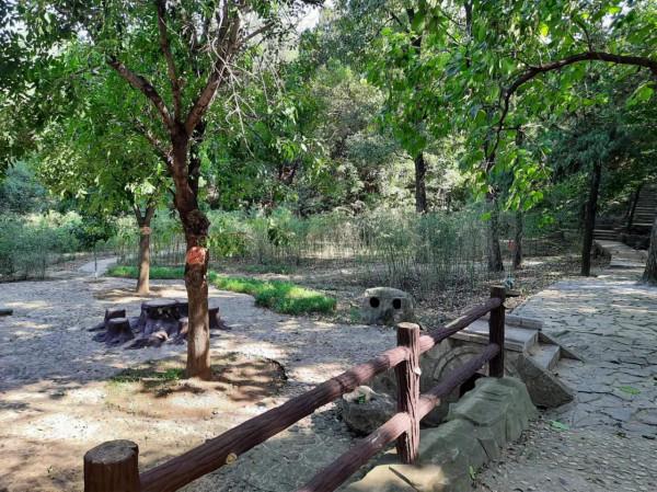 一個沒有文化的南方人對山東的初步印象 一個沒有文化的南方人對山東的初步印象