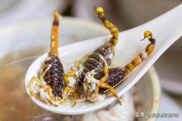 每個廣東阿媽都是“行走的湯譜”，就沒有她煲不出的湯