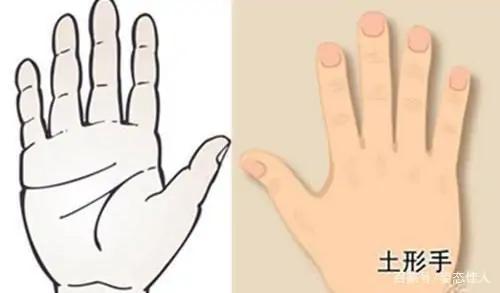 來看看你是什麼手型吧 來看看你是什麼手型吧