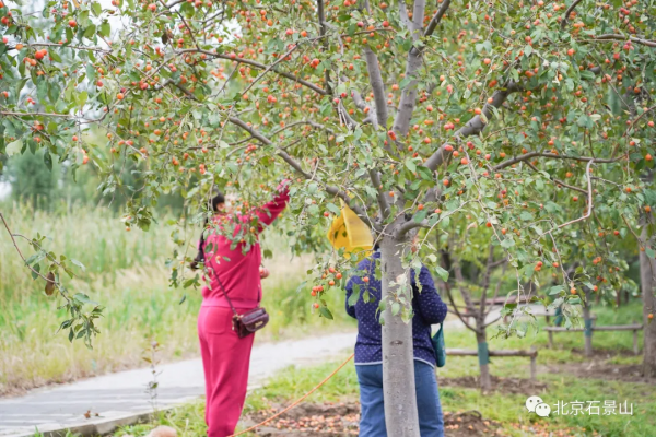 向這些不文明遊園行為說不! 向這些不文明遊園行為說不!
