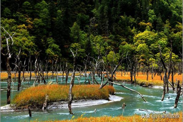 四川有個冷門海子，免門票開放，資深驢友都找不到