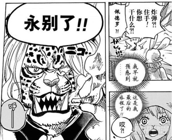 海賊王:加洛特和大和,她們誰能加入草帽團呢? 海賊王:加洛特和大和,她們誰能加入草帽團呢?