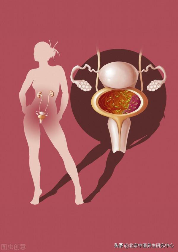 膀胱及足太陽膀胱經