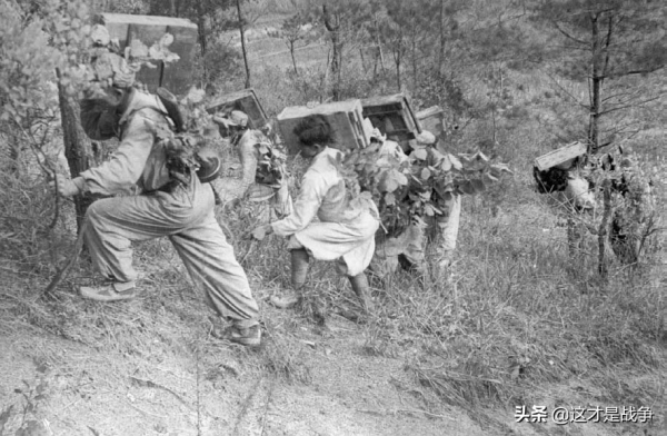 抗美援朝戰爭第五次戰役，志願軍奮戰時，朝鮮人民軍在幹什麼？