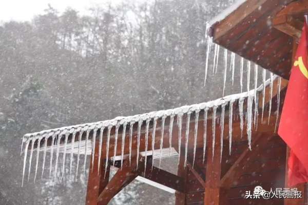 新春走基層 &vert; 他們，守護著&OpenCurlyDoubleQuote;野生&rdquo;冰墩墩