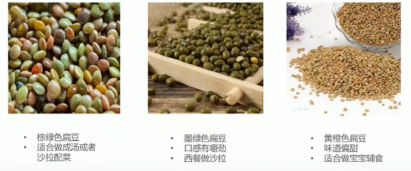 健康小科普——健康減脂健身食物