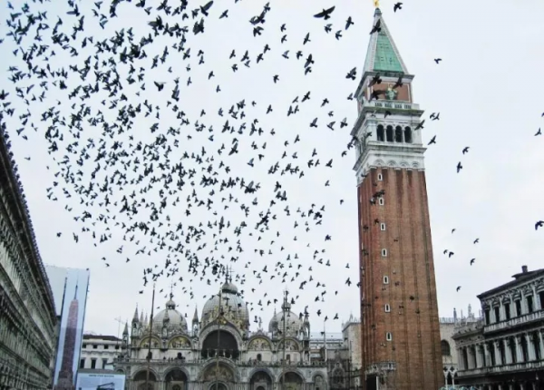 中國遊客在國外拍照被捕，這些出國旅遊禁忌你都知道嗎？