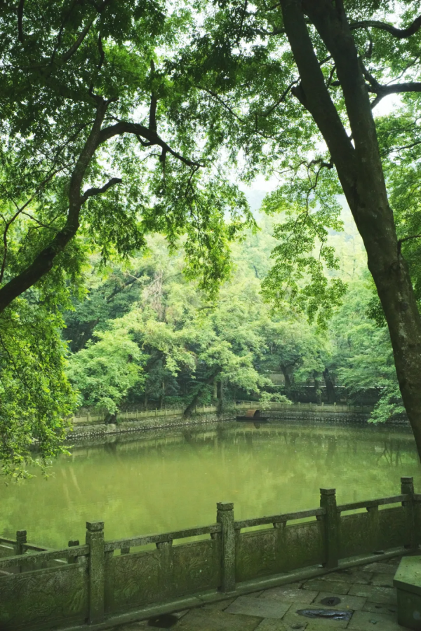 別再說什麼小京都了，寧波這些寺廟來打臉了