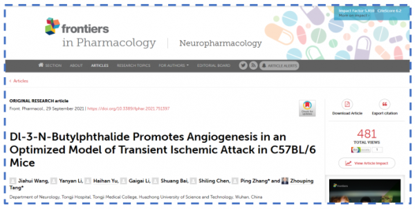 《Frontiers in Pharmacology》:丁苯酞促進TIA模型小鼠血管新生 《Frontiers in Pharmacology》:丁苯酞促進TIA模型小鼠血管新生