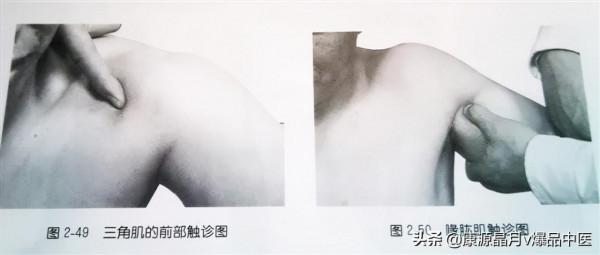 肩部疼痛的觸診圖解（很珍貴資料），值得一看