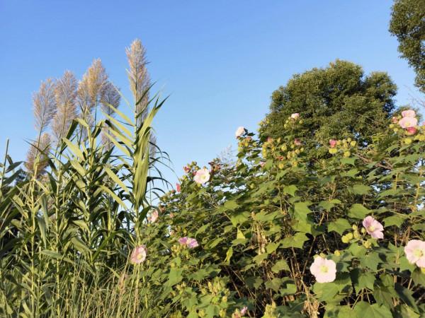 臨平區藝尚小鎮 臨平區藝尚小鎮