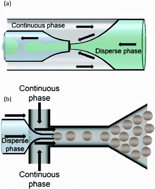 ​《Chem. Soc. Rev》用於控制釋放微流體封裝及其在奈米肥料中的應用 ​《Chem. Soc. Rev》用於控制釋放微流體封裝及其在奈米肥料中的應用