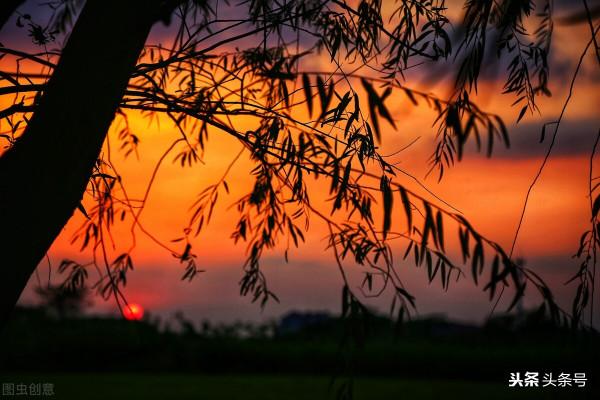散文集-擠破輪迴門,我們相逢今生① 散文集-擠破輪迴門,我們相逢今生①