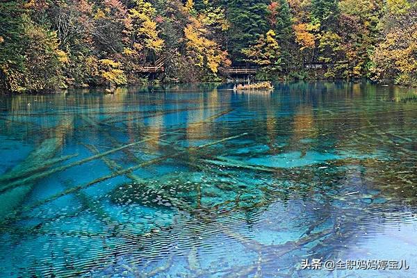 分享——令人迷幻的九寨溝