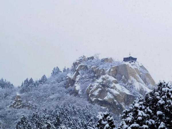 快來看，蘇家坨鎮的雪景美出了圈！