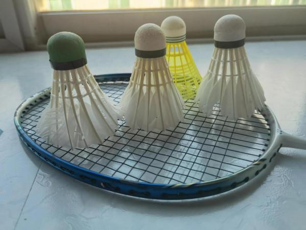 在家練羽球的&OpenCurlyDoubleQuote;成就&rdquo;