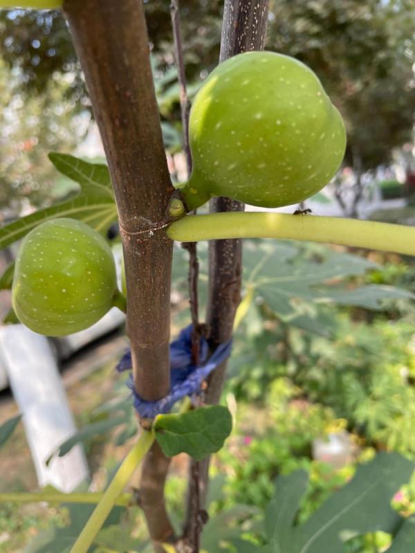 悠然自得的生活 悠然自得的生活